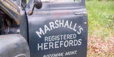 Træf- og køretøjsdag på Wedelslund Gods