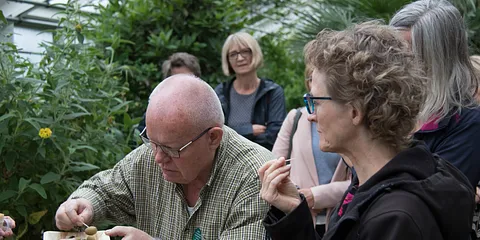 Smag på verden i Aarhus