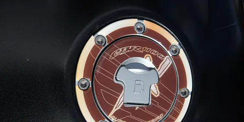 Blackbird invasion i Aarhus