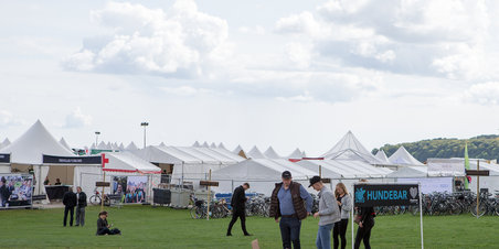 Åbning af årets Foodfestival 2017