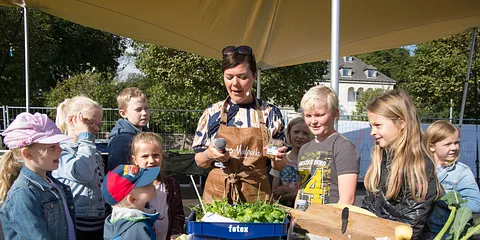 Arlas gode madpakkebord