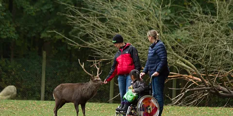Efterår i Marselisborg Dyrehave