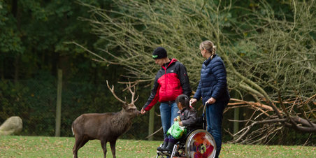 Efterår i Marselisborg Dyrehave