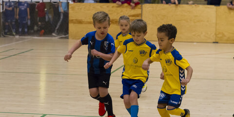 Fedets Cup 2017 hos VRI i Bellevuehallerne