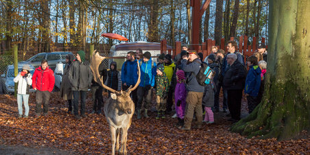 Smag på Aarhus i dyrehaven 18-11-2017