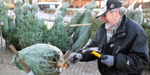 Juletræsalg på Viby Torv