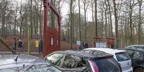 Dyrehaven i januar