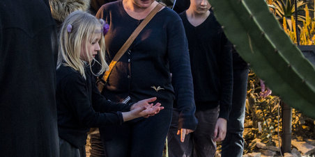 Væksthusene i Botanisk Have