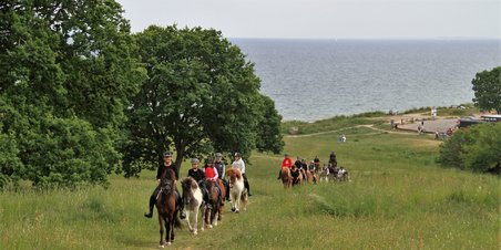 Islænderklubben på skovtur