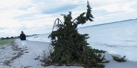 Før Sct Hans på Fedet