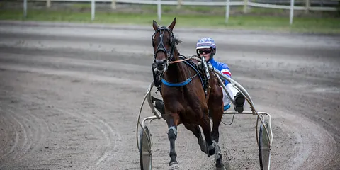 Jydsk Væddeløbsbane - Fireårsprøver