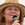 DAIMI og Louisiana Jazzband