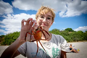 Strandkokkene på Moesgaard Strand