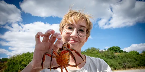Strandkokkene på Moesgaard Strand