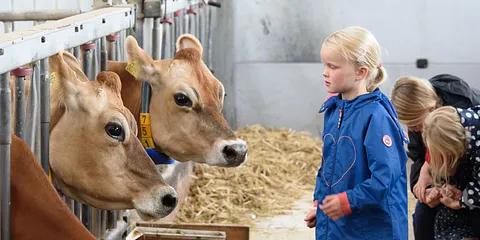 Åbent Landbrug Bredballegård