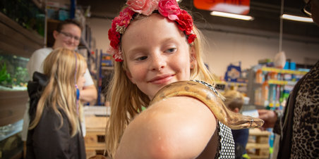 Krybdyr i Petworld Tilst