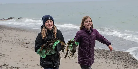 Spis tang med Smag på Aarhus