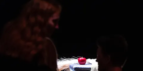 Burlesque i Evakostume