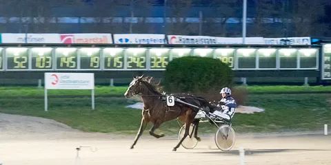 Gallaoptakten på Jydsk Væddeløbsbane