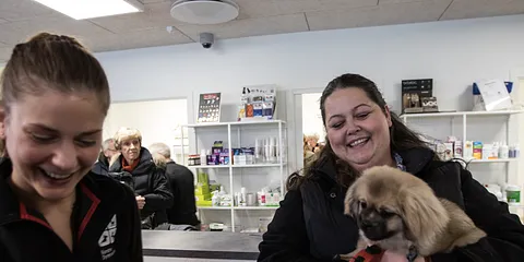 Åbning Nordre Dyrehospital