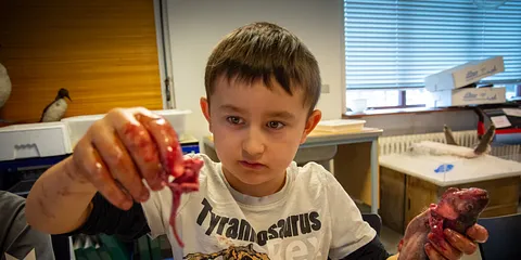 Naturhistorisk Museum vinterferie