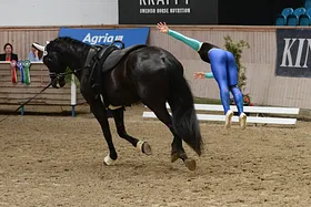 AGRIA-Nordic Baltic Championships 