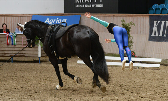 AGRIA-Nordic Baltic Championships 