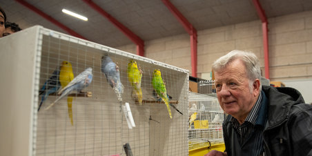 FUGLEMARKED I ÅRHUS