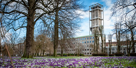 Rådhusparken i forårshumør
