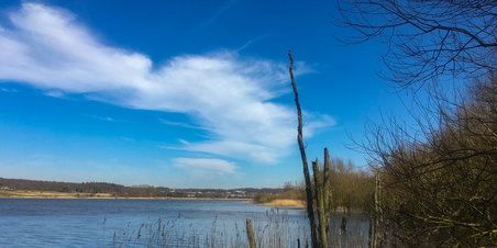 Rundt om Årslev Engsø