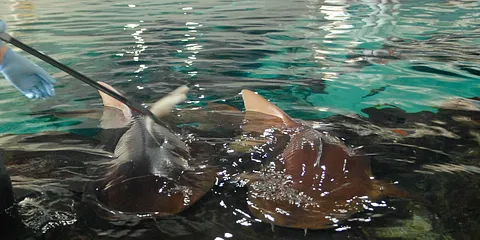 Kattegat centret behind the scenes