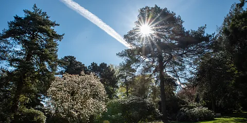 Mindeparken og Forstbotanisk have.