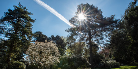 Mindeparken og Forstbotanisk have.