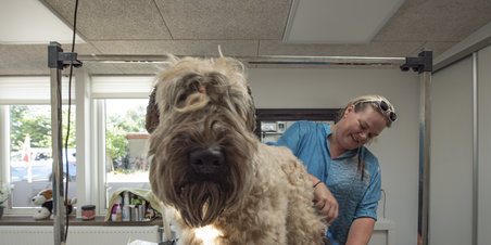 Aarhus Hundesalon åbner i nye lokaler