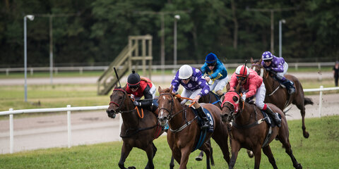 Galop på Jydsk Vædeløbsbane