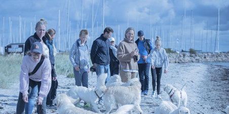 Golden træf Østjylland