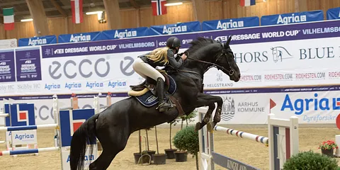 FEI World Cup Vilhelmsborg - fredag