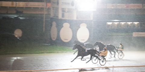 Novemberløbet 2020 på Jysk Vædeløbsbane