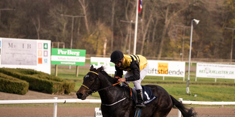 Herman Sallings Mindeløb 2020