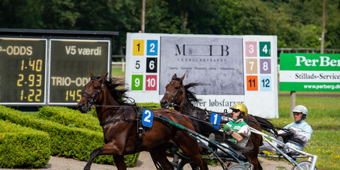 Sommerløb på Jydsk Væddeløbsbane