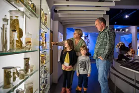 NATURHISTORISK MUSEUM