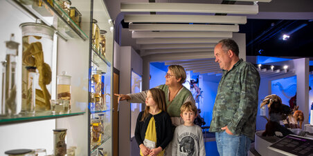 NATURHISTORISK MUSEUM