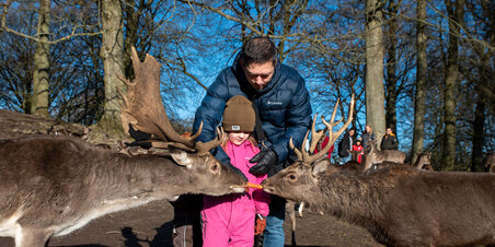 DYREHAVEN februar 2022