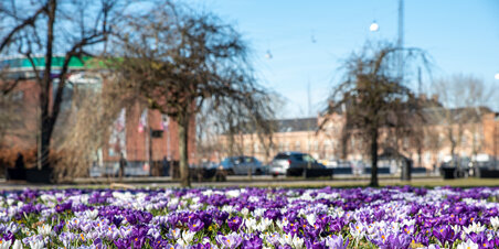 Rådhusparken forår 2022