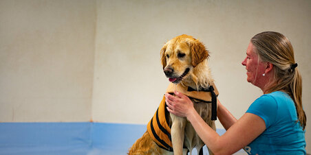 Hundesvømmehallen hos LuksusHunden 