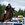 Bækgården Horse Festival 2022