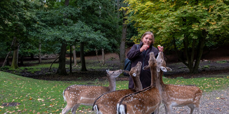 DYREHAVEN efterår 2022