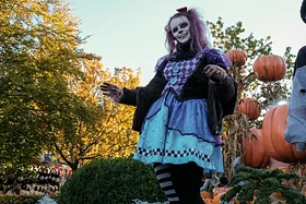 Halloween i Friheden