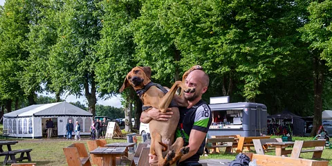 Hund i Fokus
