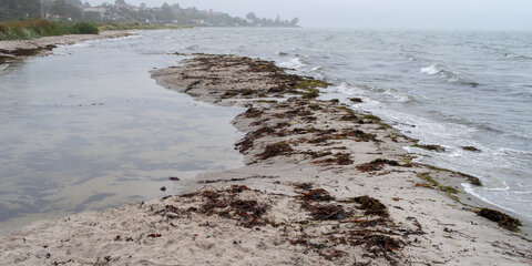 En diset morgen ved kysten